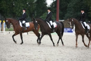 Pbaños a caballo en Haras des Bussies